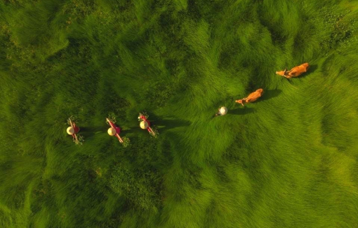 Nghệ thuật ánh sáng kết nối thế giới