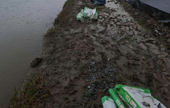 2 nông dân làm thuê ao tôm ở Cà Mau bị sét đánh tử vong