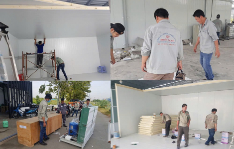 Điện lạnh Miền Nam: Đơn vị lắp đặt kho lạnh tối ưu cho mọi ngành hàng