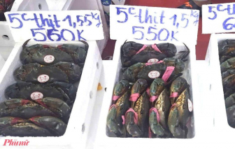 Cà Mau thu hơn 10.000 tỉ đồng mỗi năm từ cua