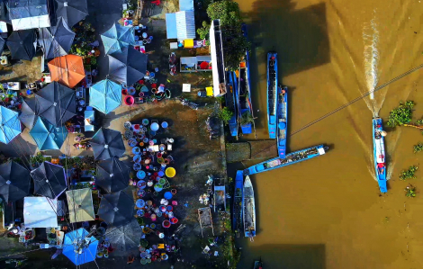 Miền Tây mùa nước nổi: hương vị phù sa nồng nàn và nồi lẩu mắm đậm đà ký ức