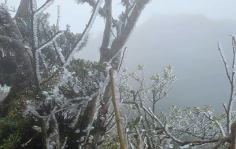 Băng giá bất ngờ xuất hiện ở Tà Xùa