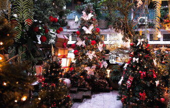 Các quán cà phê chụp hình Giáng sinh sớm tại Sài Gòn