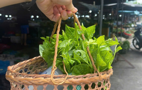 Con rất hạnh phúc khi làm được đồ chơi từ vật liệu tái chế