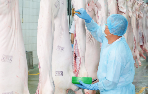 Sàn giao dịch thịt heo tại TPHCM dự kiến vận hành từ đầu năm 2026