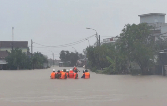 Cảnh báo 100 can a xít sunfuric của nhà máy đường Tuy Hòa bị nước lũ cuốn trôi