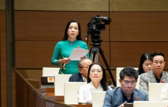 Đại biểu đề nghị sáp nhập, giải thể các trường học không đạt chuẩn