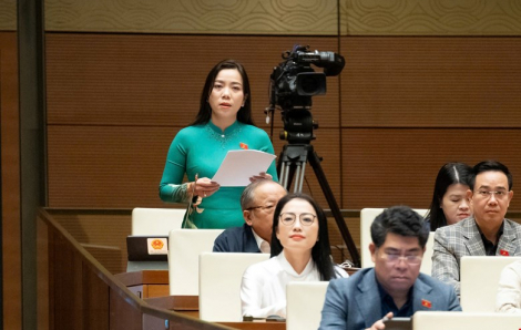 Đại biểu đề nghị sáp nhập, giải thể các trường học không đạt chuẩn