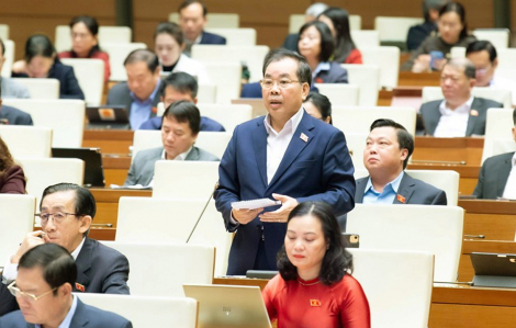 Đề xuất bỏ đại học vùng, thêm quy định về đại học xuyên biên giới