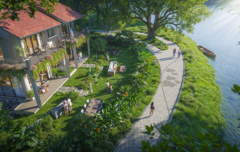 Nhà dưới tán rừng của Ecopark: Xóa nhòa ranh giới giữa tiện nghi và sinh thái