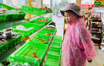 Các siêu thị tại Nha Trang cạn rau xanh ngay khi lũ rút