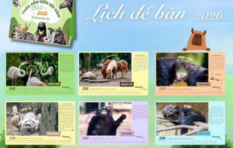 Thảo Cầm Viên ra mắt bộ lịch đáng yêu về động vật