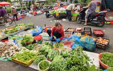 Giá rau củ bán lẻ tại TPHCM tiếp tục leo thang