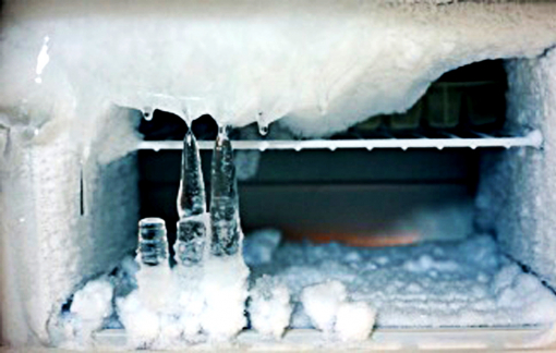 Nhớ quá chừng bụm tuyết… tủ lạnh