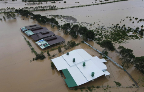 Cơn bão lòng của những người con miền Trung xa xứ