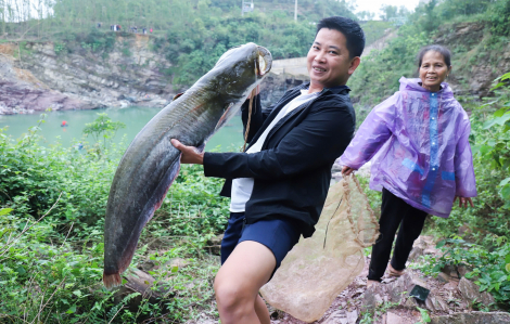 Người dân kéo nhau đi săn cá khủng khi hồ Kẻ Gỗ dừng xả tràn