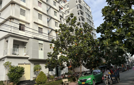 Tôi suýt bỏ lỡ cơ hội mua nhà vì sợ nợ, sợ xa