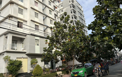 Tôi suýt bỏ lỡ cơ hội mua nhà vì sợ nợ, sợ xa