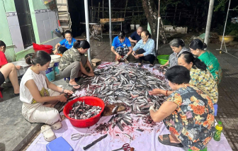 Phụ nữ Huế thức trắng đêm kho cá nục, làm muối thịt sả gửi tặng bà con rốn lũ Nam Trung Bộ