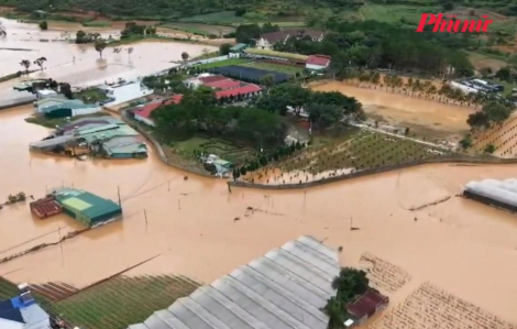 Bản tin tổng hợp ngày 24/11: Ám ảnh thiệt hại lũ Khánh Hòa