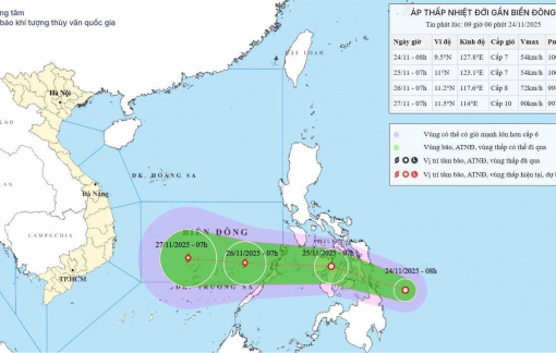 Chủ động ứng phó áp thấp nhiệt đới, có khả năng mạnh lên thành bão số 15 hướng vào Nam Bộ