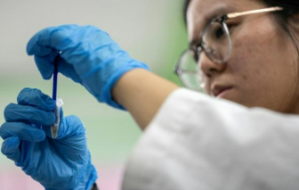 Rệp sẽ là 'thám tử hiện trường' lợi hại trong vụ án khó nhằn