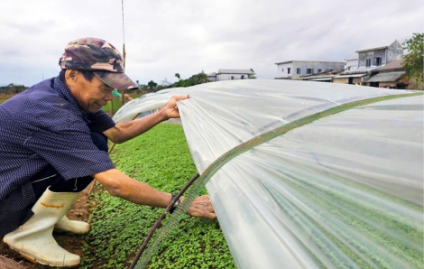 Khẩn trương tiếp sức nông dân vùng bão, lũ tái sản xuất