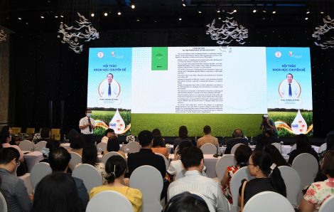 Milk Lipid Complex - Chìa khóa nuôi dưỡng miễn dịch đường ruột cho trẻ