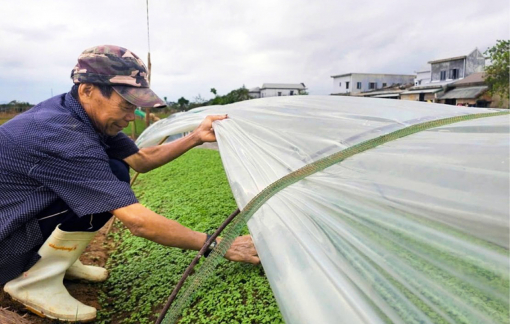 Khẩn trương tiếp sức nông dân vùng bão, lũ tái sản xuất