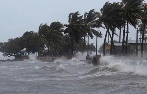 Bản tin tổng hợp ngày 26/11: Biển Đông đón bão số 15, TPHCM công bố danh sách xe vi phạm giao thông