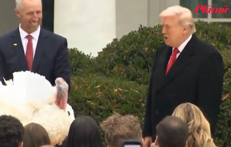 Tổng thống Donald Trump ân xá cho 2 con gà tây