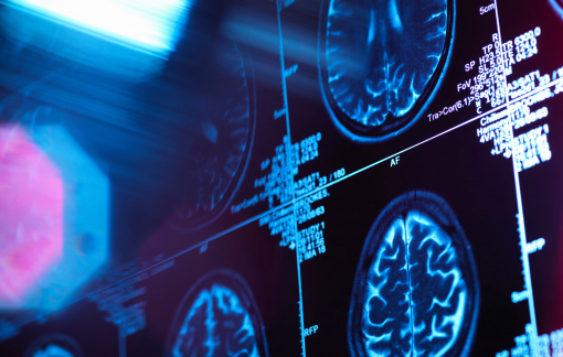 Giai đoạn “vị thành niên” kéo dài đến tận năm 32 tuổi