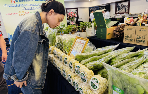 Nông nghiệp đô thị, biến rác thải thành phân bón, mái nhà thành vườn rau