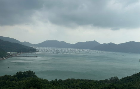 Bão số 15 đổi hướng phức tạp, phía Đông Đắk Lắk nguy cơ mưa lớn