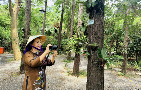 Nữ nghệ nhân gần 20 năm “trồng cây, gây rừng”
