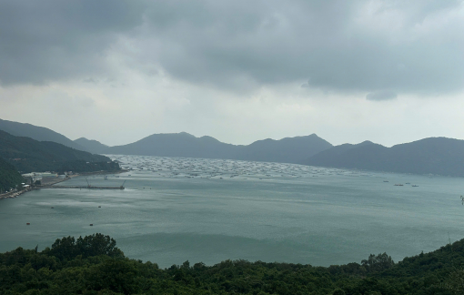 Bão số 15 đổi hướng phức tạp, phía Đông Đắk Lắk nguy cơ mưa lớn