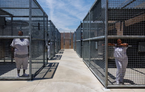 Tỷ lệ phụ nữ phạm tội, bị giam giữ trên thế giới tăng nhanh, vì sao?