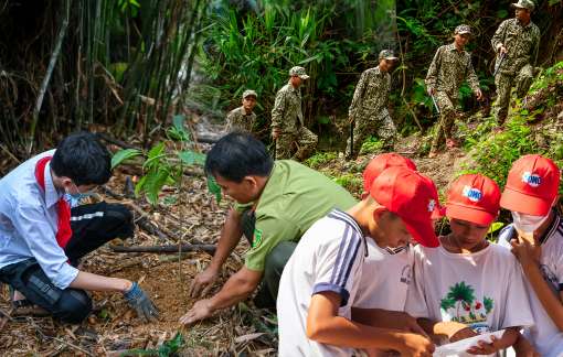 OMO hoàn thành sứ mệnh trồng 1 triệu cây xanh khắp Việt Nam, hướng tới xây dựng di sản xanh bền vững