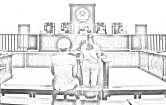 13 năm tù cho người phụ nữ lừa đảo bạn gái của em trai