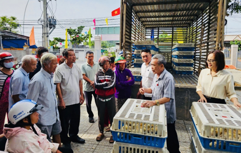 Trao con giống, trao cơ hội phát triển cho các gia đình có hoàn cảnh khó khăn