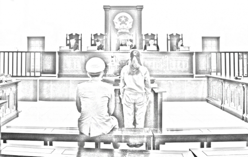 13 năm tù cho người phụ nữ lừa đảo bạn gái của em trai