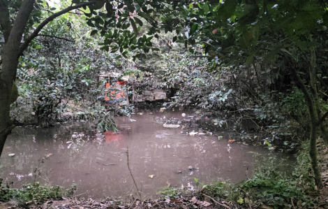 Bé trai 5 tuổi tử vong do rơi xuống hồ nước sâu sau nhà