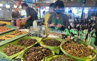 Đuông dừa, bọ cạp, côn trùng… vào lễ hội ẩm thực Mỹ vị sóng ngàn