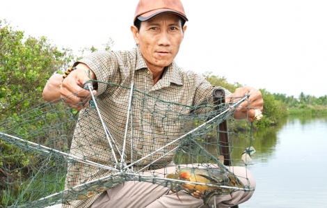 Khai thác tiềm năng từ con cua biển