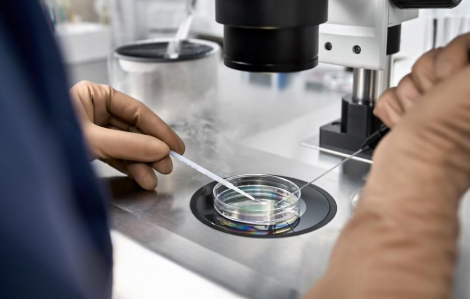 Vô sinh nam bị xem nhẹ, nhiều người tốn tiền vì IVF không cần thiết