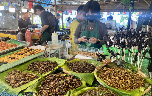 Đuông dừa, bọ cạp, côn trùng… vào lễ hội ẩm thực Mỹ vị sóng ngàn