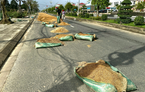 Chật vật với từng hạt lúa sau lũ