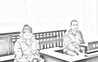 Mua ma túy bán cho công nhân để giữ chân thợ