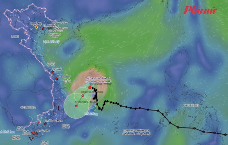 Cập nhật bão số 15: Di chuyển chậm, hướng vào vùng biển Gia Lai - Khánh Hòa