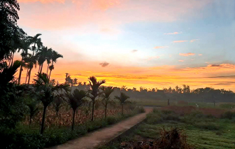 Có một mùa cặm cụi ngoài nắng gió